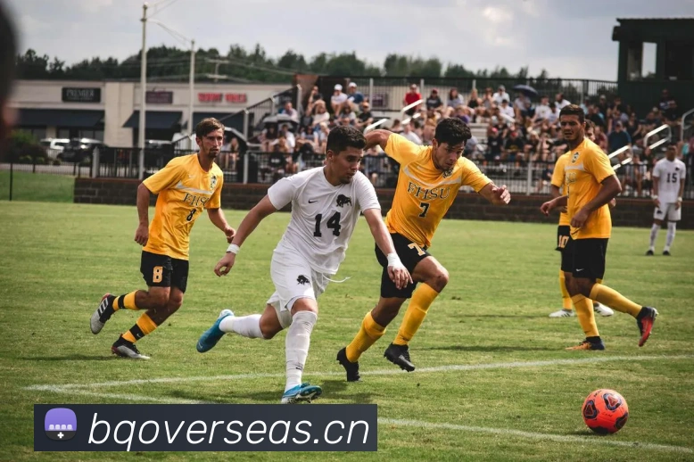 米兰体育在线登录入口APP 封面图